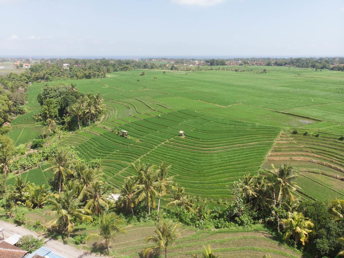 De Moksha Eco Friendly Boutique Resort Tanah Lot Exteriér fotografie