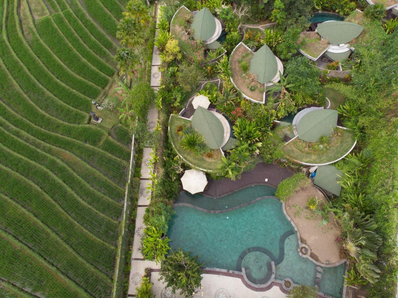De Moksha Eco Friendly Boutique Resort Tanah Lot Exteriér fotografie